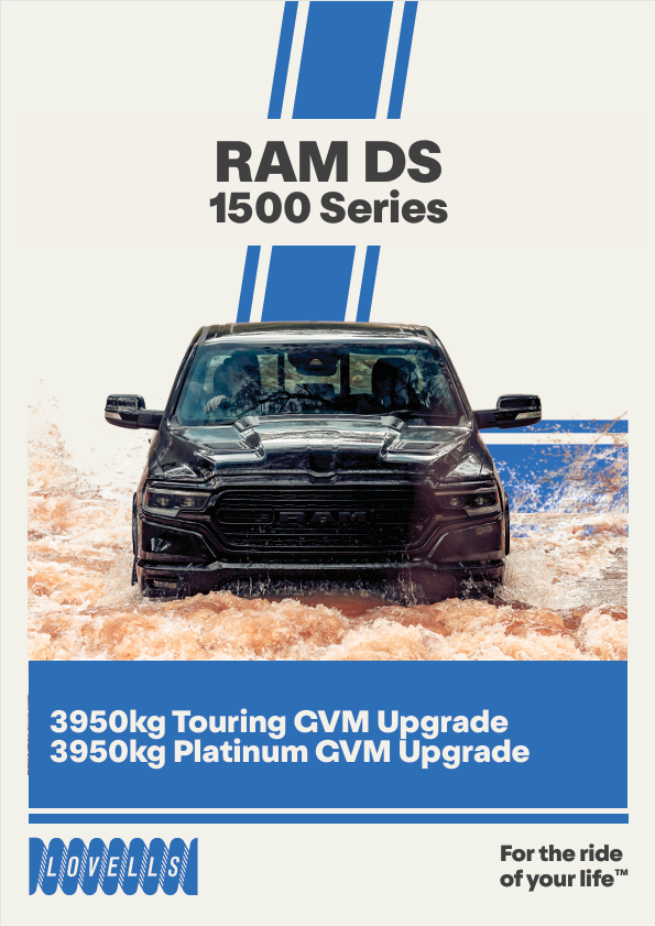 DS RAM